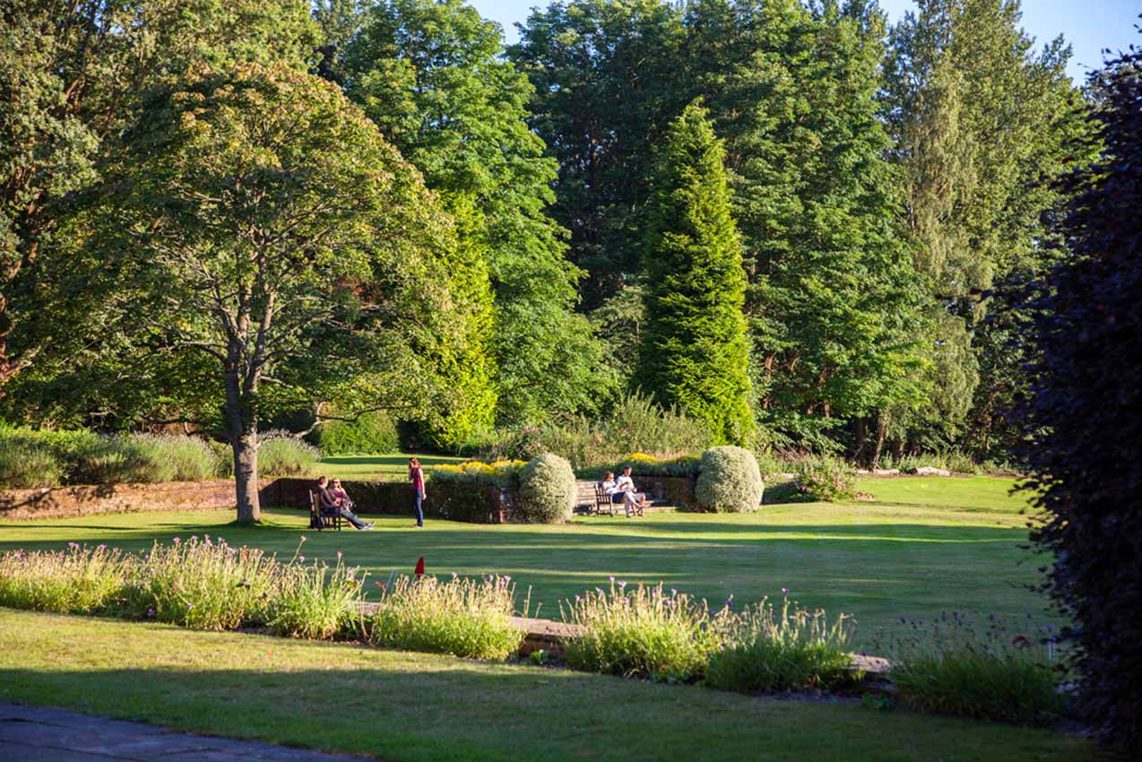 Lawn