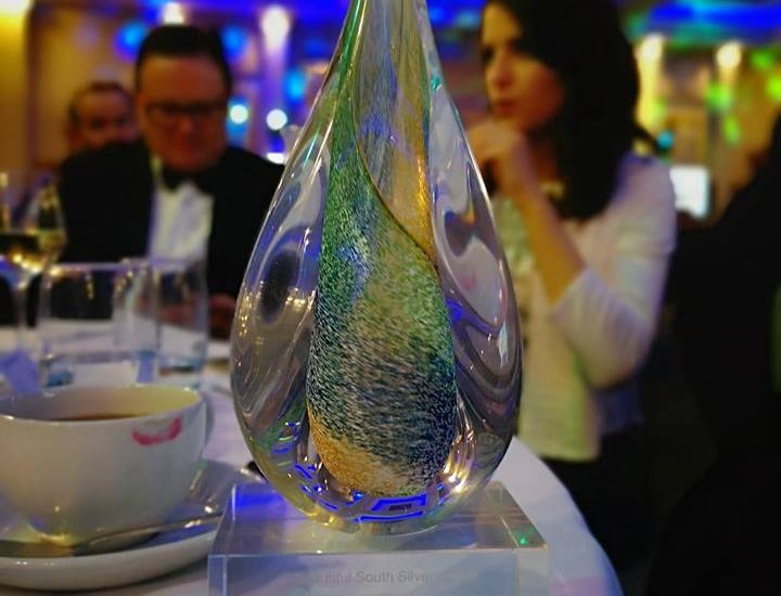 Business South Award 2019
