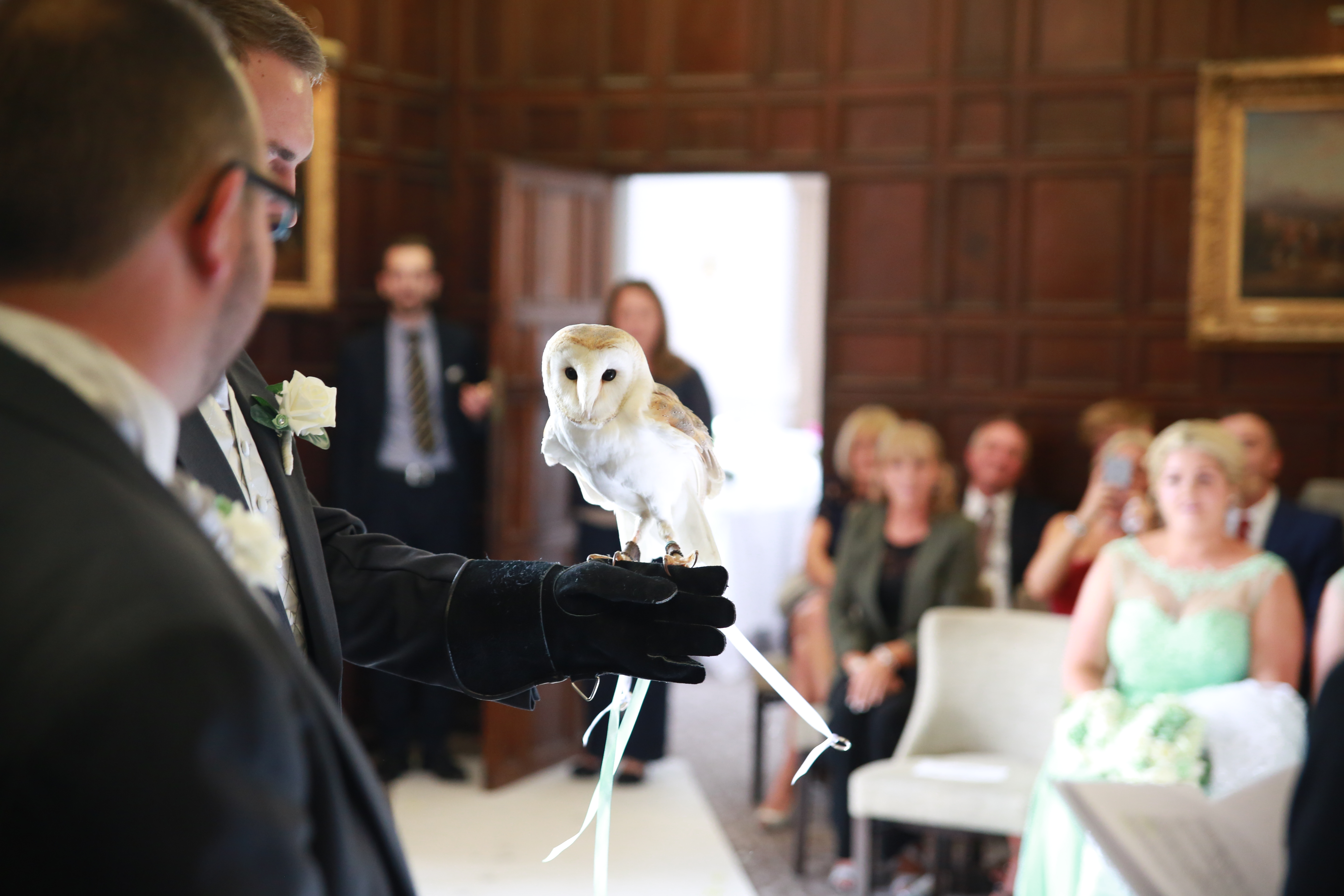 Owl in Wedding ceremony